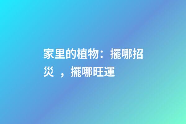 家里的植物：擺哪招災，擺哪旺運